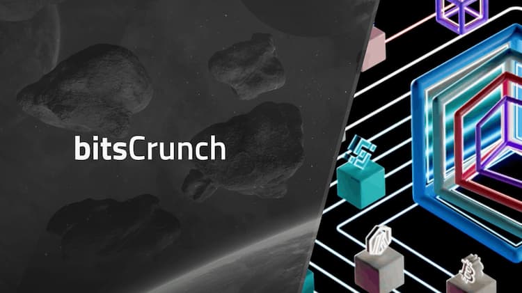 bitsCrunch - AI-enhanced Decentralized NFT Data Network